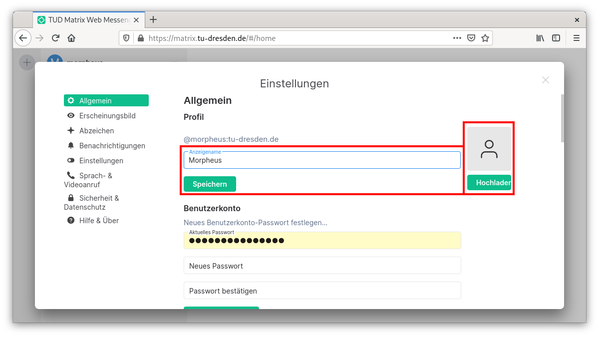 Markierung des Feldes Anzeigenamen und des Profilbilds in den Einstellungen